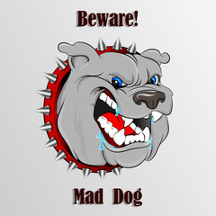 Beware Mad Dog 1