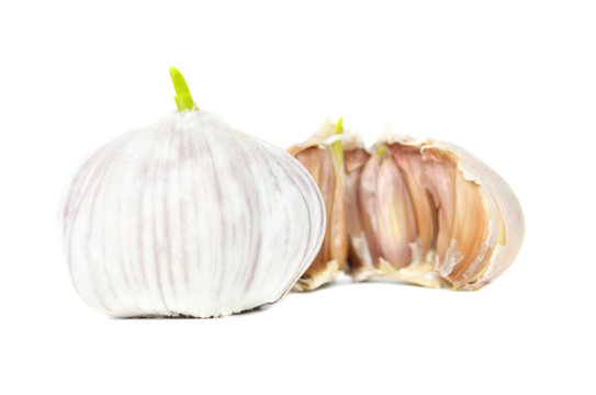 Garlic and Half