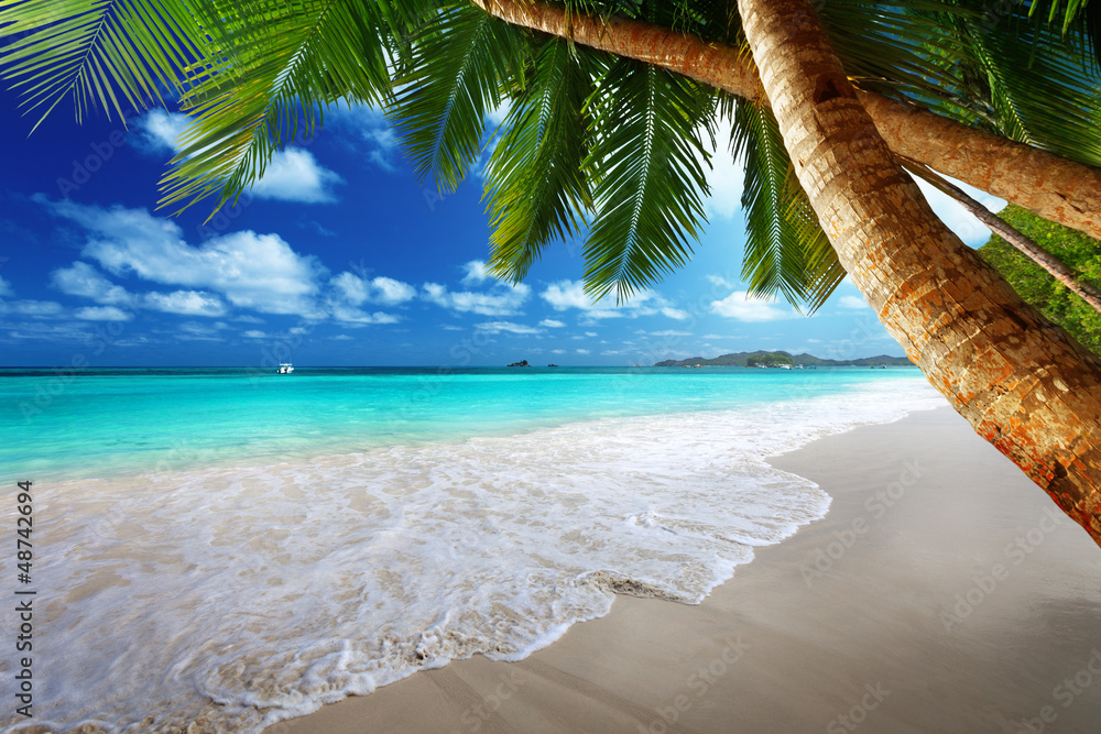 Wall mural beach at prtaslin island, seychelles