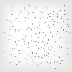 Sperm Concept
