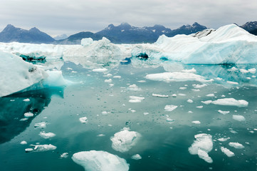 Glacier_Bay