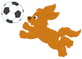 Chiot brun drôle jouant au football
