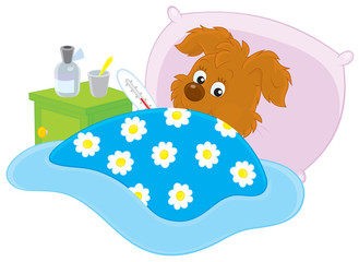 Ill pup lying in his bed with a thermometer