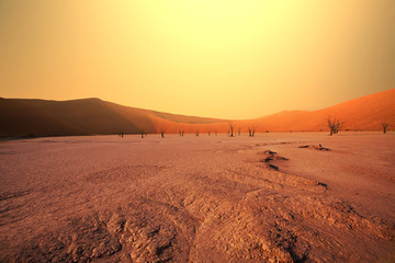 Namib