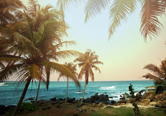 Fototapeta na wymiar Tropikalna plaża