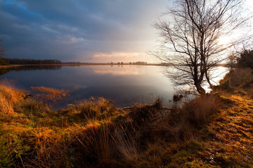 Fototapeta na wymiar calm wild pond in Dwingelderveld