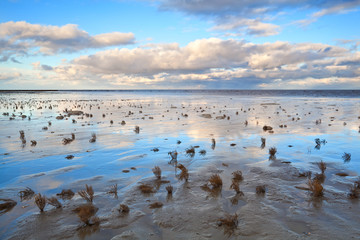 low tide in North sea