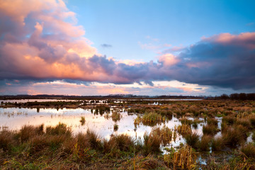swamp at dramatic sunrise