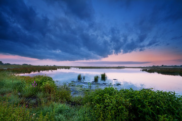 wild  lake in summer