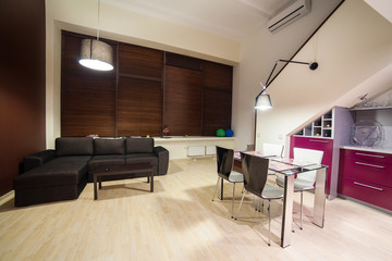 Inside modern loft