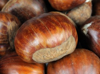 Whole chestnuts © Arena Photo UK