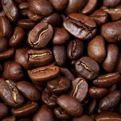 Roasted coffee grain