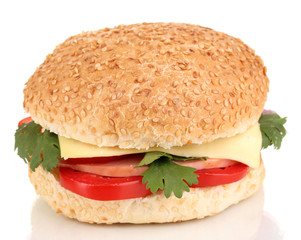 Appetizing sandwich isolated on white