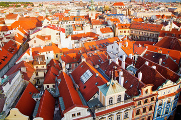 Fototapeta na wymiar Domy Praga From Above