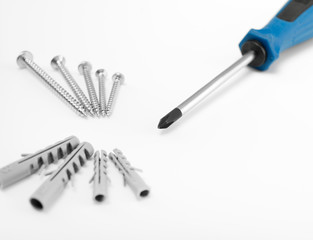Schraubenzieher mit Dübeln und Schrauben