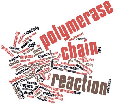 Word cloud for Polymerase chain reaction