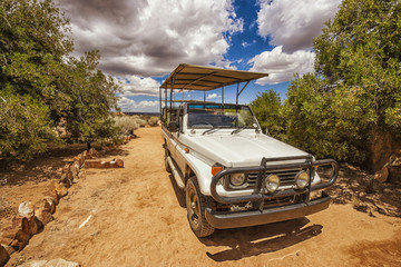 Obraz na płótnie Canvas Jeep Safari