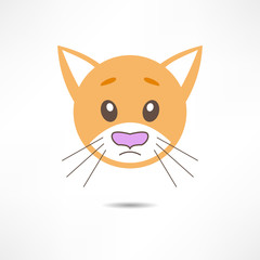 Sad cat.