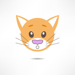 Surprised cat.