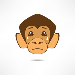 Crying Monkey.