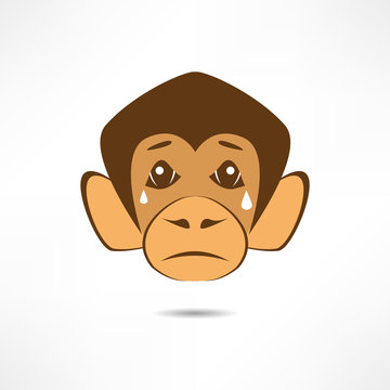 Crying Monkey.