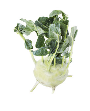 Kohlrabi vegetable.