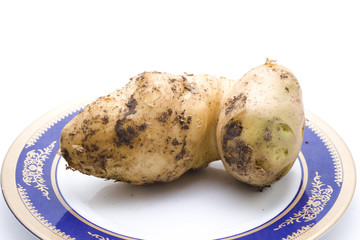 Kartoffel auf Teller
