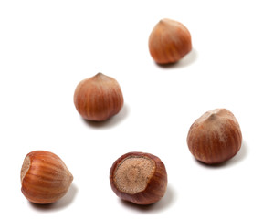 Brown hazelnuts on white background