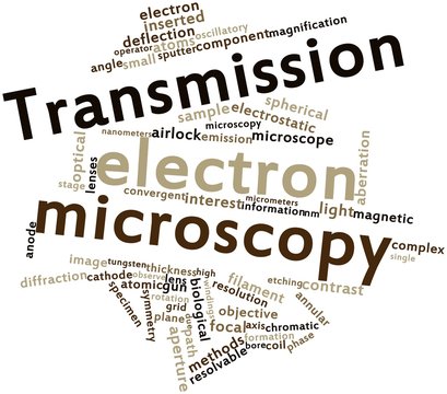 Word cloud for Transmission electron microscopy