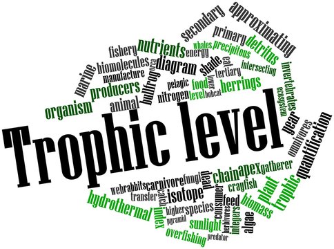 Word cloud for Trophic level