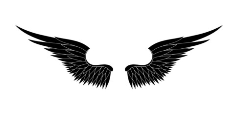 black wings vector