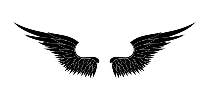 black wings vector