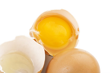 Broken egg close up on the white background