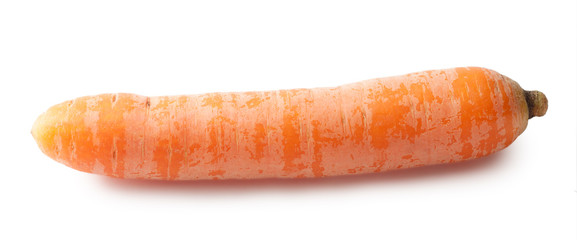 Juicy orange carrot