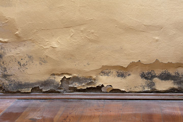 Schimmelbefall