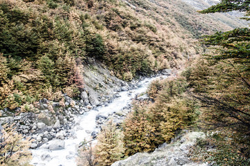 The National Park Torres del Paine, Patagonia, Chile