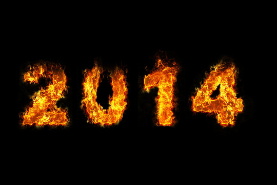 Year 2014 on fire