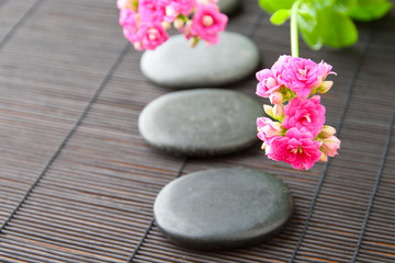 Fototapeta na wymiar Stones path with flowers for zen spa background, horizontal. sel