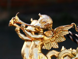 angels
