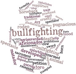 Word cloud for Bullfighting