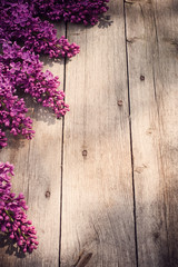 Fototapeta na wymiar Piękny liliowy na drewnianym tle