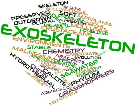 Word cloud for Exoskeleton