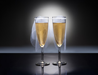 Champagne glasses with conceptual same sex decoration