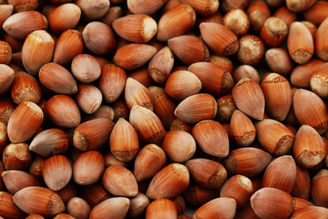 Tasty hazelnuts, close up