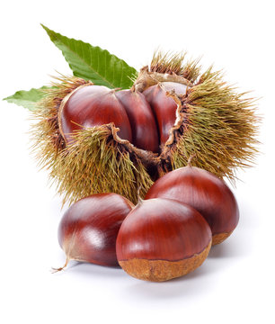 chestnuts