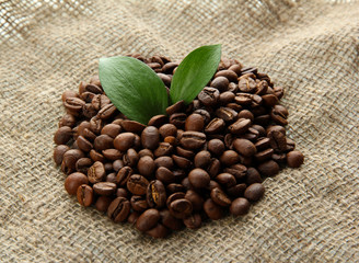 Coffee beans with leaves on sack-cloth background