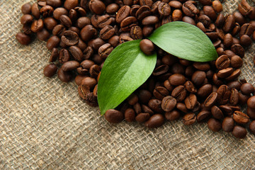 Coffee beans with leaves on sack-cloth background