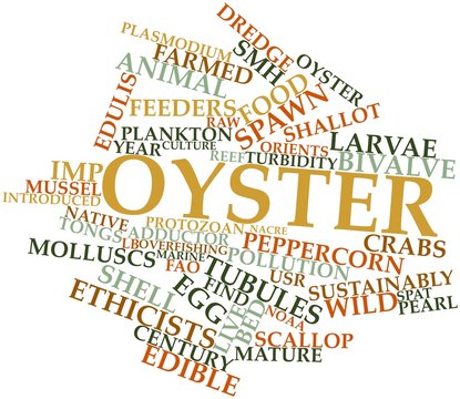 Word cloud for Oyster