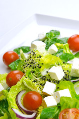Healthy food to lose weight: fresh salad