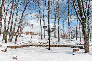 Snow park in a cold winter day